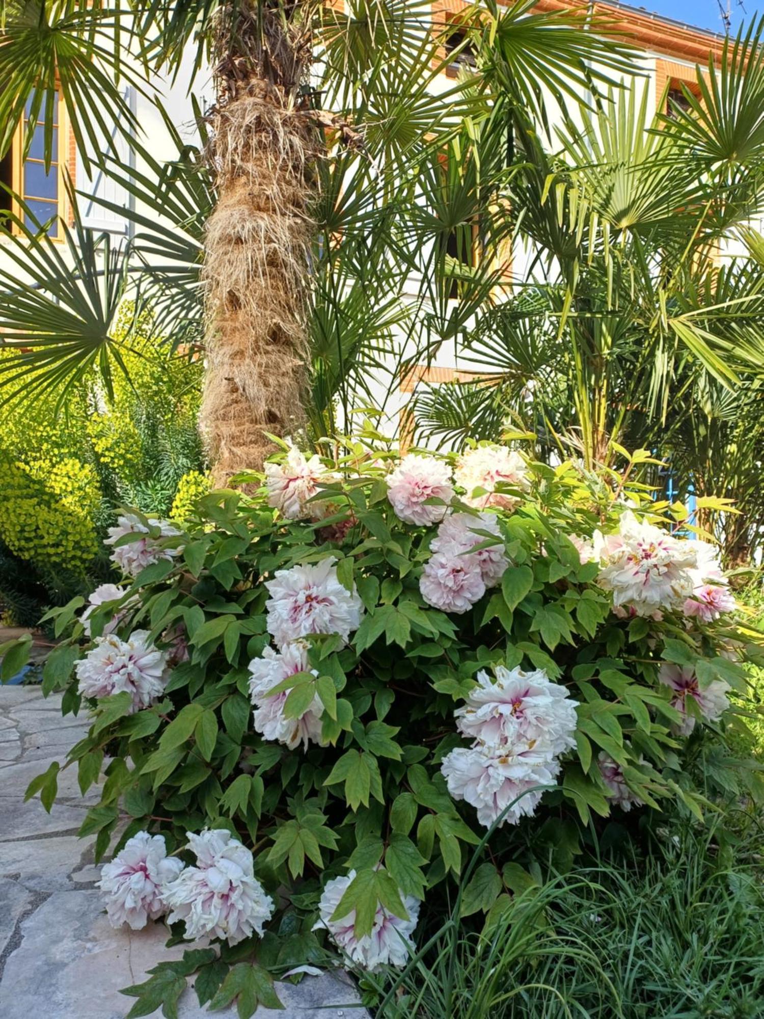 Le Relais De Lezat Hotel Exterior foto